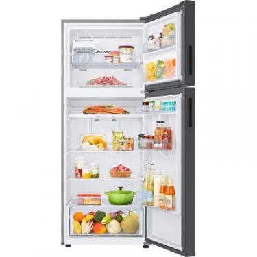 Холодильник Samsung RT42CB662012UA Фото 4