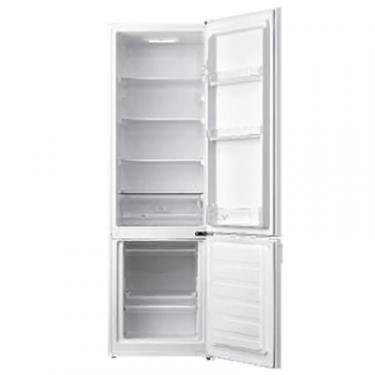 Холодильник Grunhelm BRM-S177M55-W Фото 1