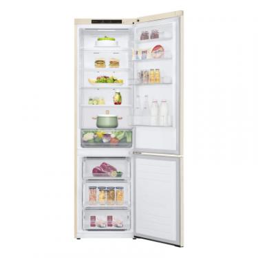 Холодильник LG GC-B509SECL Фото 1