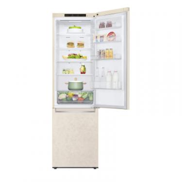 Холодильник LG GC-B509SECL Фото 3