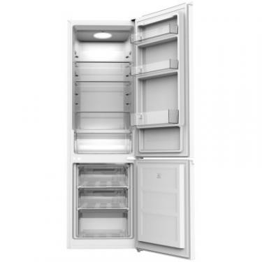 Холодильник Edler ED-358DIN Фото 1