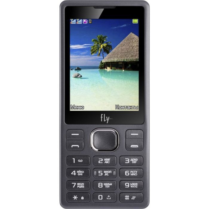 Мобильный телефон Fly FF282 Black Фото