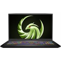 Ноутбук MSI Bravo Фото