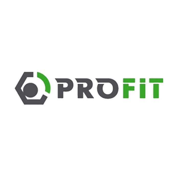 Воздушный фильтр для автомобиля Profit 1512-4186 Фото