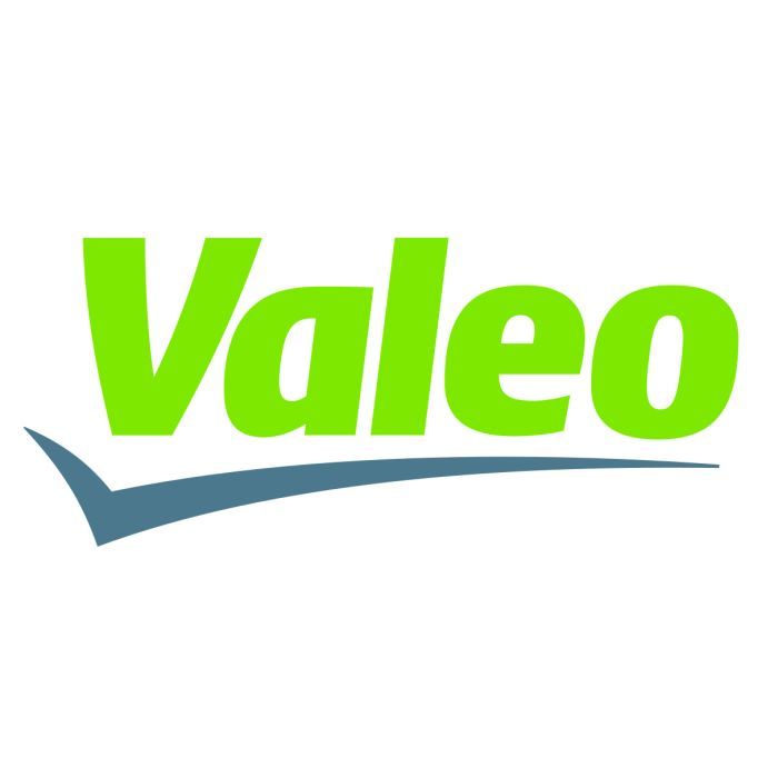 Воздушный фильтр для автомобиля Valeo 585428 Фото