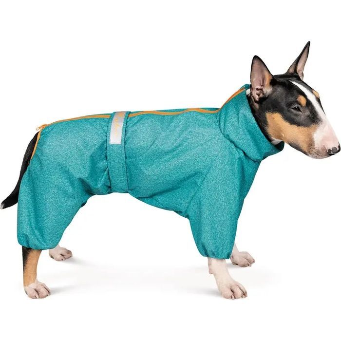 Комбинезон для животных Pet Fashion "RAIN" L (бирюзовый) Фото