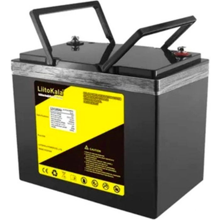 Батарея LiFePo4 Liitokala LiFePO4 12V-100Ah Фото