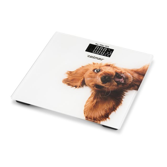 Весы напольные Zelmer ZBS1010 Фото