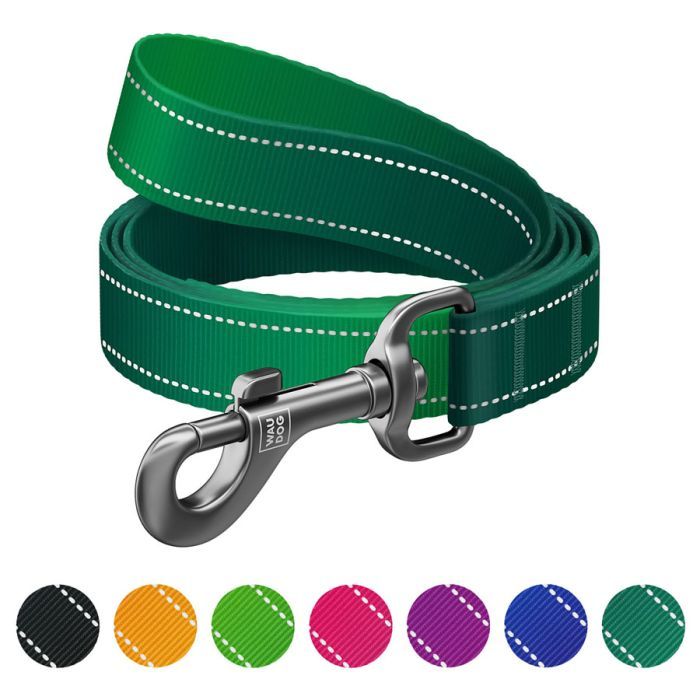 Поводок для собак WAUDOG Nylon Mono, світловідбивний S зелений Фото