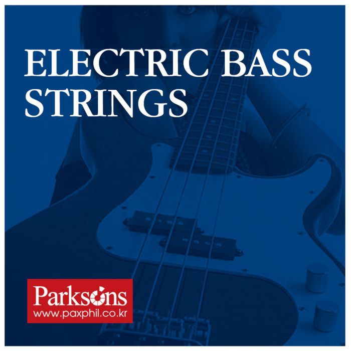 Струны для гитары Parksons Electric Bass Strings (40-125) Фото
