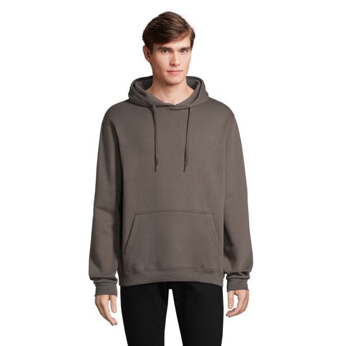 Худи Sol's Snake темно-сірий L Фото