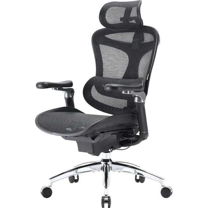 Офисное кресло Sihoo DORO C300 Pro Mesh Black Фото