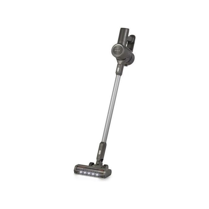 Пылесос Gorenje SVC252426FFCA Фото