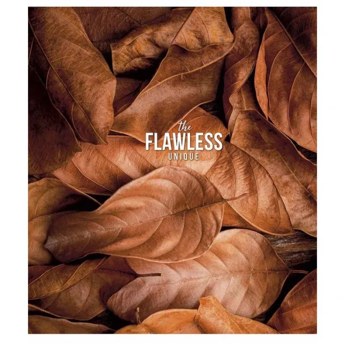 Тетрадь Школярик The Flawless 48 аркушів клітинка Фото